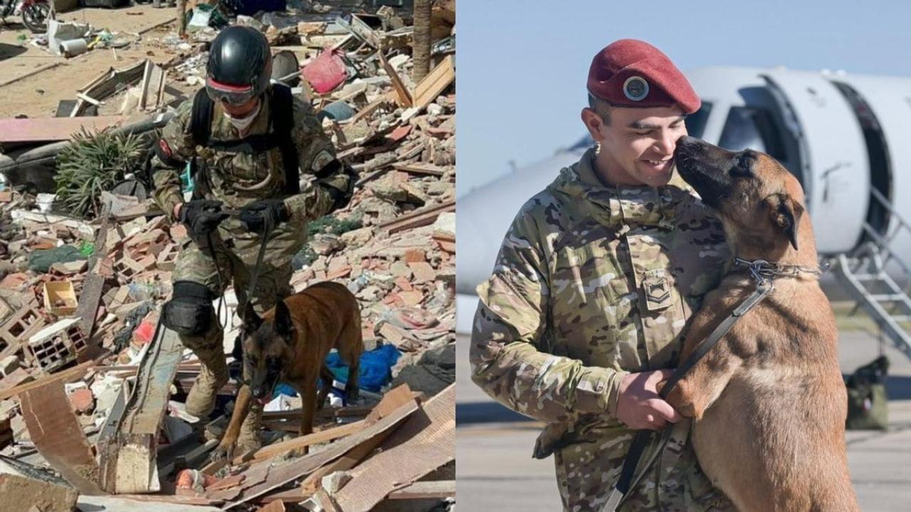 Bart, el perro rescatista argentino que salvó a dos niños tras el terremoto en Venezuela