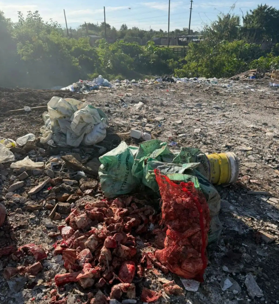 Clausuran vaciaderos clandestinos y sancionan a cinco empresas por contaminar el río Salí y el Canal Sur