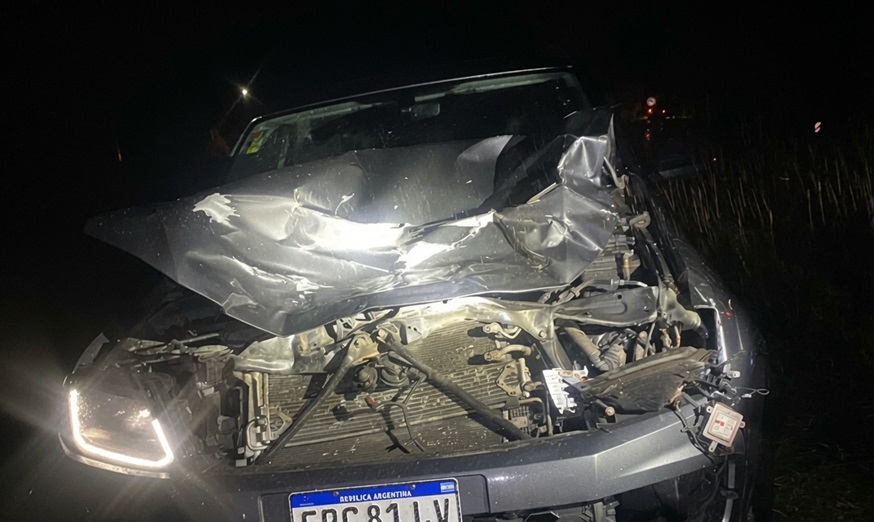 Un conductor de La Cocha destruyó su camioneta al chocar contra un caballo suelto en la ruta nacional 38