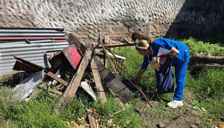 Tucumán ya registra 231 casos de chikungunya y refuerzan los operativos en zonas afectadas