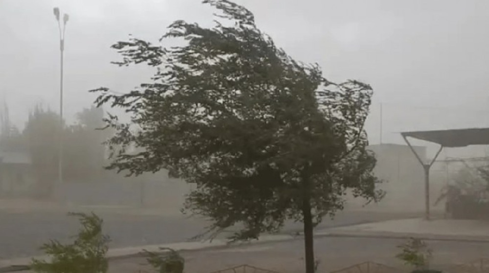 Rige una alerta meteorológica para Tucumán: qué zonas serán afectadas por fuertes vientos este jueves