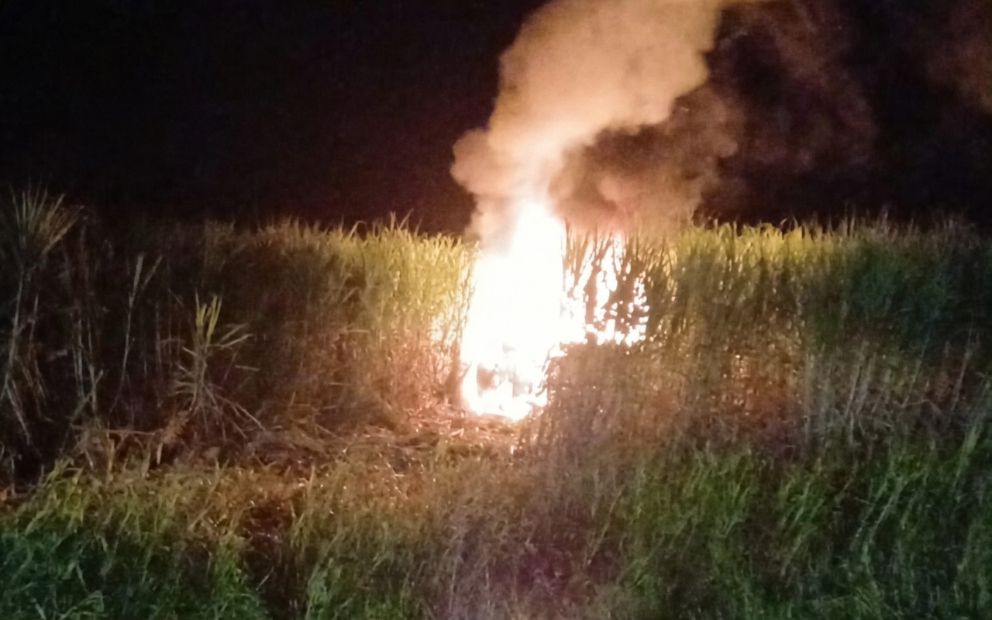 Una camioneta fuera de control tras chocar un caballo volcó y se incendió en medio de un cañaveral (video)
